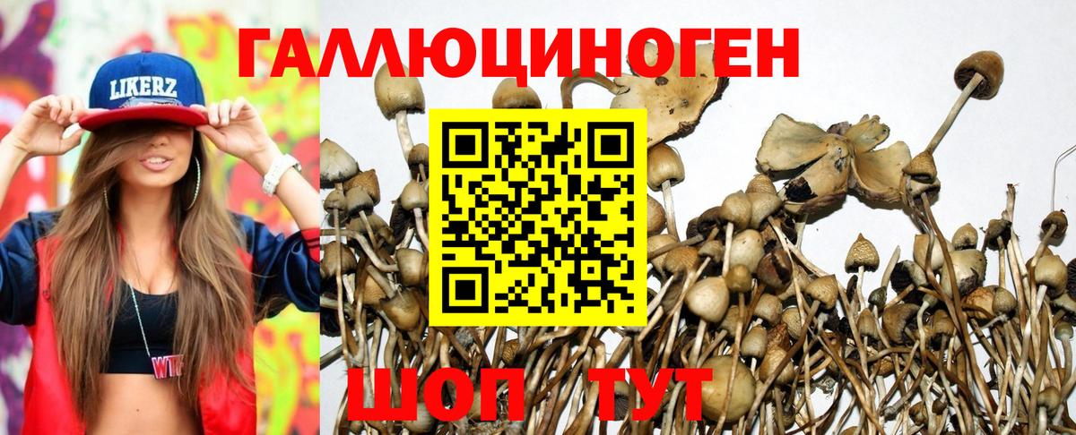 Псилоцибиновые грибы мицелий Моздок