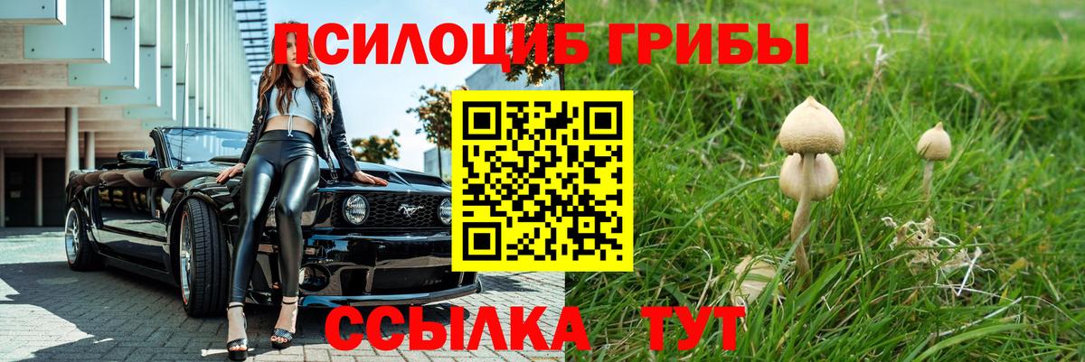 Моздок  Галлюциногенные грибы мухоморы  Вход с VPN 